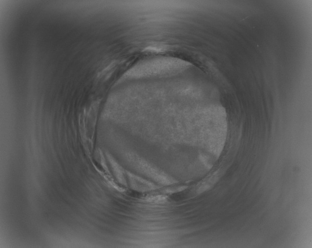 X0000080750576200701122006