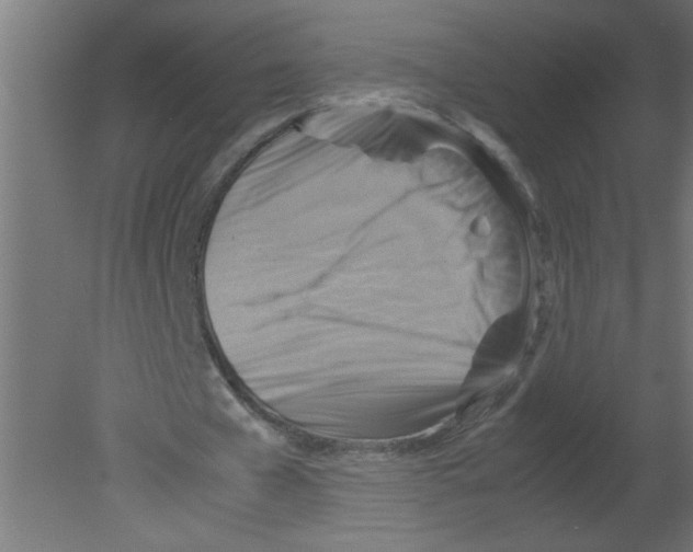 X0000080750577200701122005