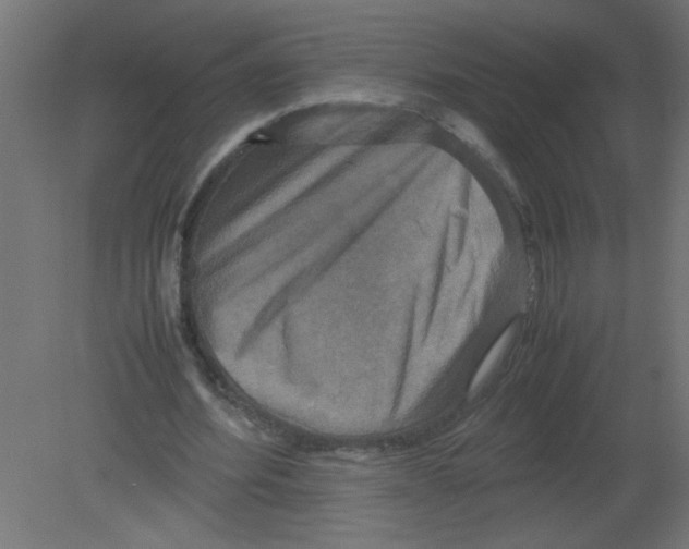 X0000080750580200701122005