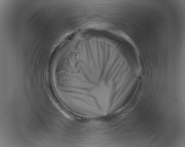 X0000080750581200701122005