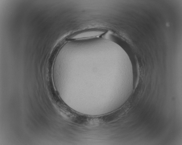 X0000080750587200701122005