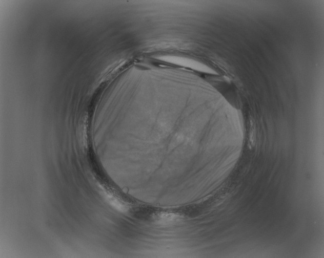 X0000080750590200701122005