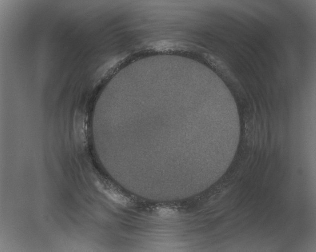 X0000080750592200701122005