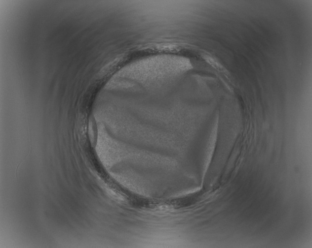 X0000080750593200701122005