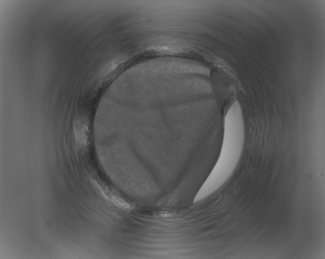 X0000080750596200701122005