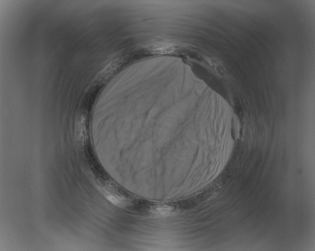 X0000080750598200701122005