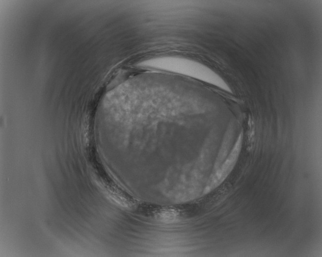 X0000080750600200701122005