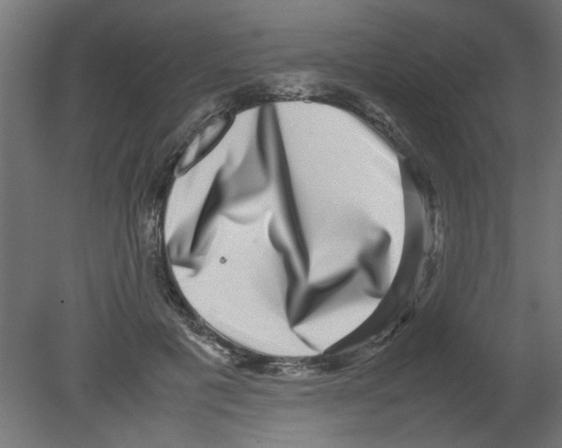 X0000080750601200701122005