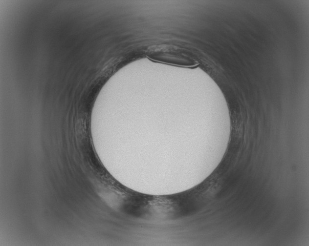 X0000080750603200701122005