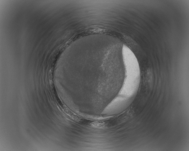X0000080750606200701122005
