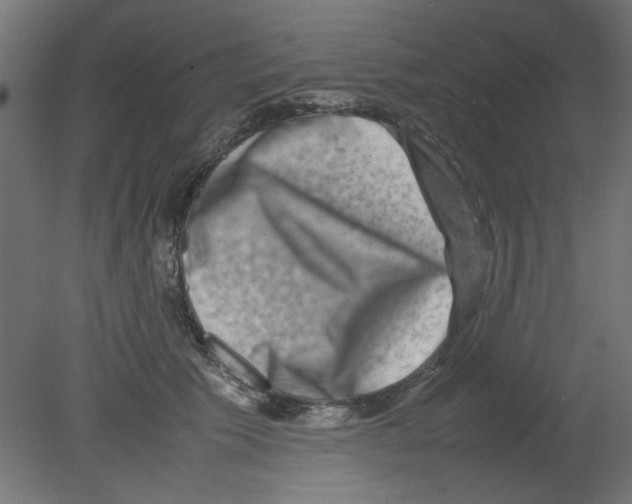 X0000080750609200701122005