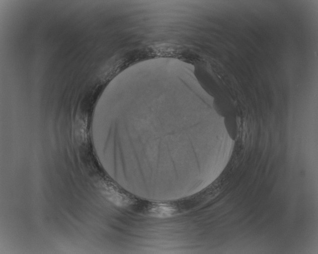 X0000080750610200701122005