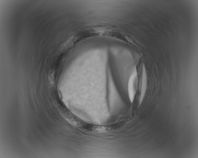 X0000080750611200701122005