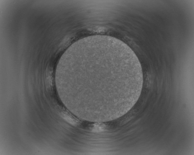 X0000080750612200701122005