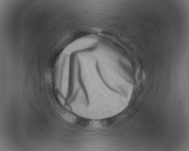 X0000080750613200701122005