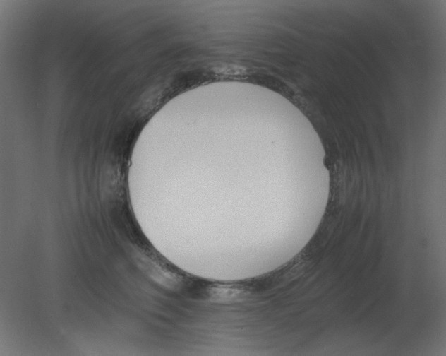 X0000080750614200701122005
