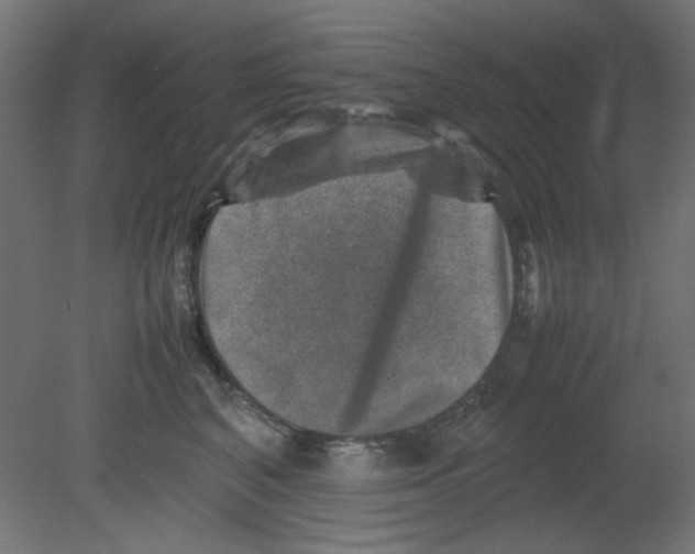 X0000080750616200701122005