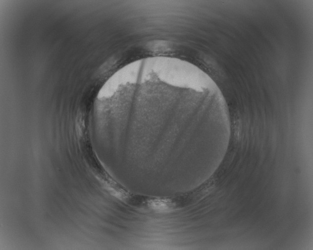 X0000080750618200701122005