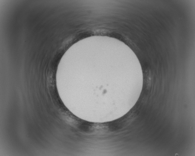 X0000080750619200701122005
