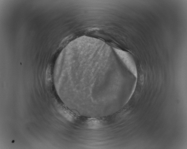 X0000080750620200701122005