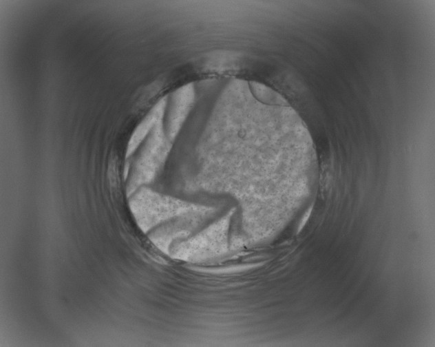 X0000080750623200701122005