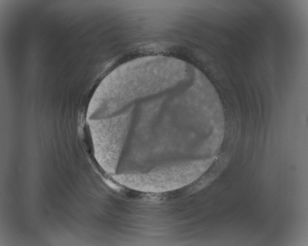 X0000080750624200701122005