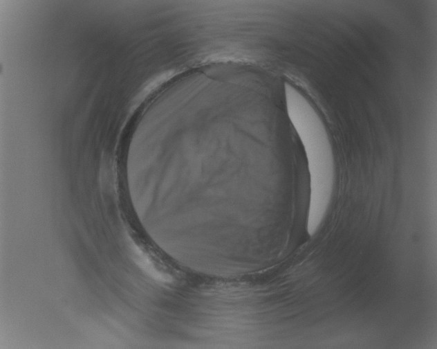 X0000080750626200701122004