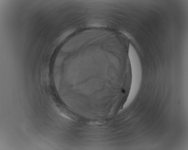 X0000080750627200701122004