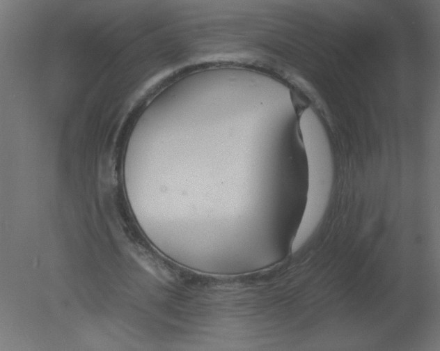 X0000080750628200701122004