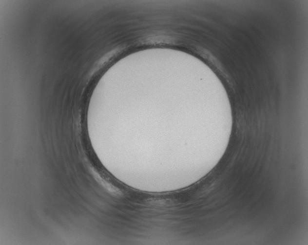 X0000080750629200701122004