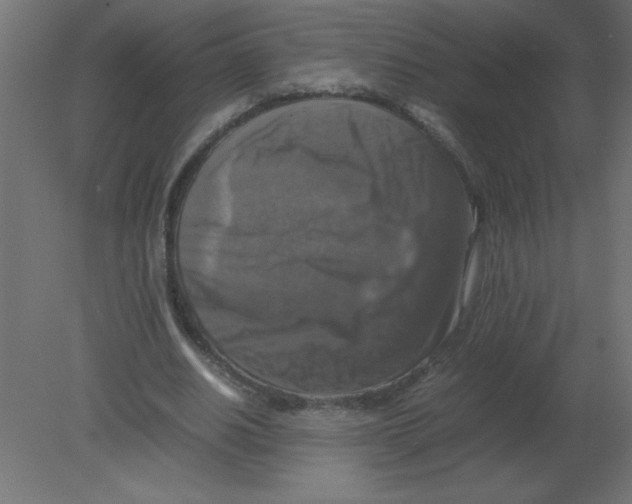 X0000080750630200701122004