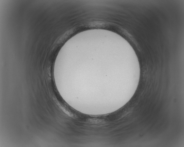 X0000080750633200701122004