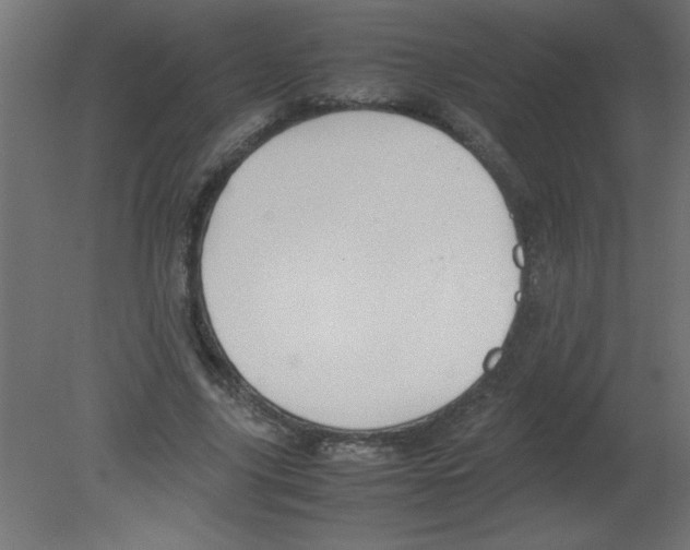 X0000080750635200701122004