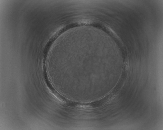 X0000080750637200701122004