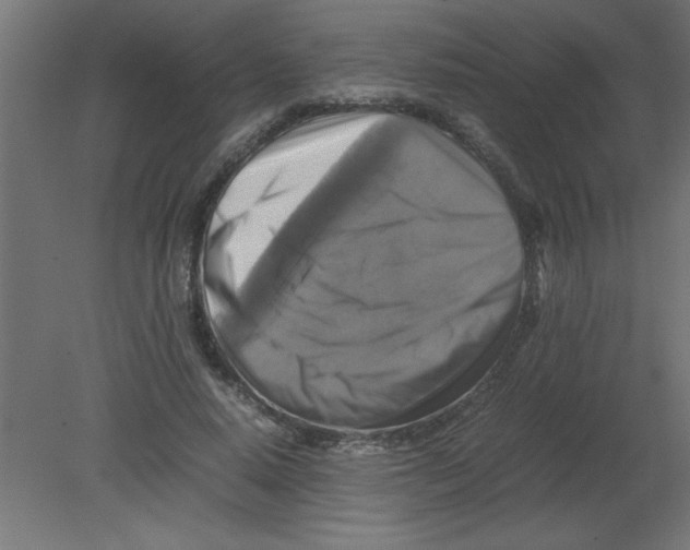 X0000080750640200701122004
