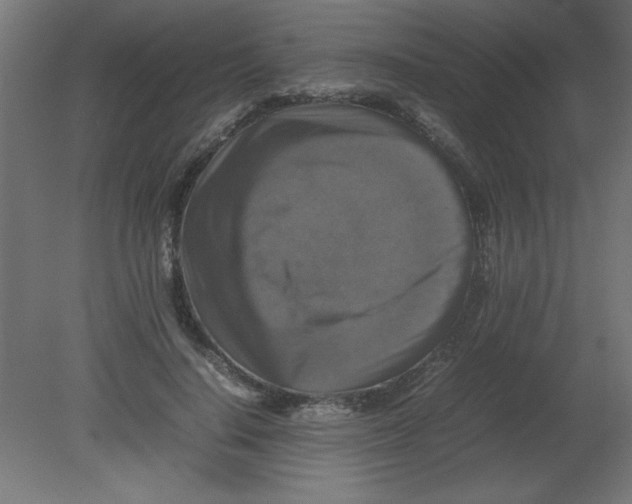 X0000080750644200701122004