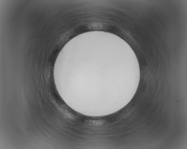 X0000080750645200701122004