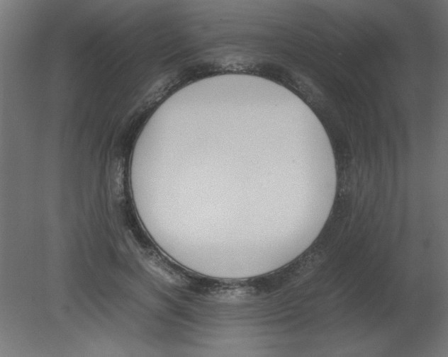 X0000080750646200701122004