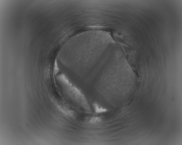 X0000080750647200701122004