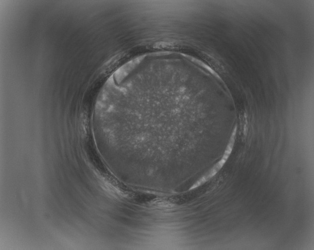 X0000080750648200701122004