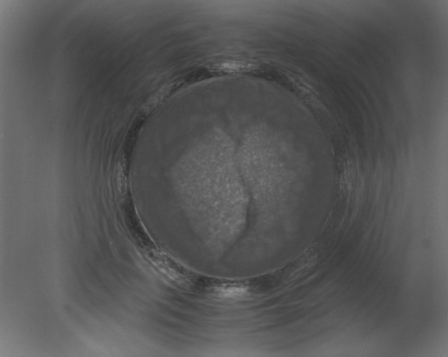 X0000080750651200701122004