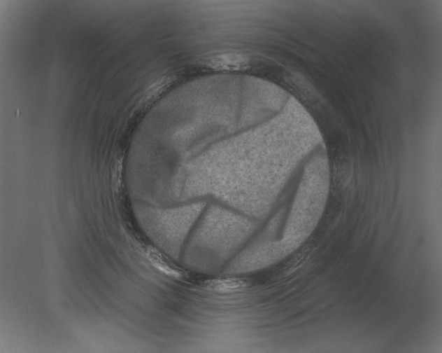 X0000080750652200701122004