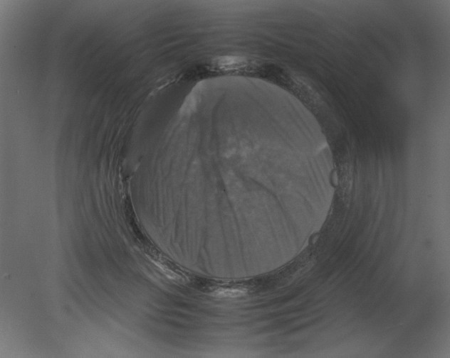 X0000080750653200701122004