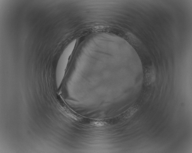 X0000080750654200701122004