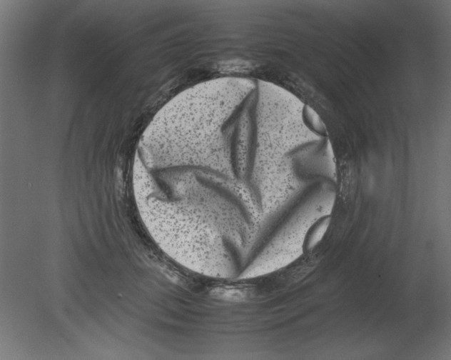 X0000080750655200701122004