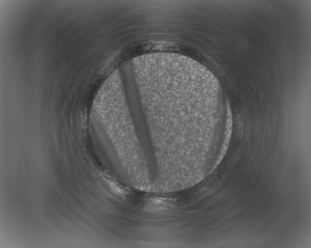 X0000080750657200701122004