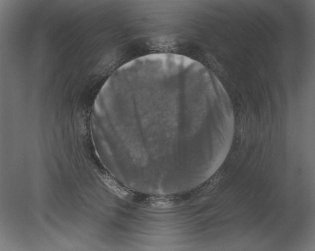 X0000080750658200701122004