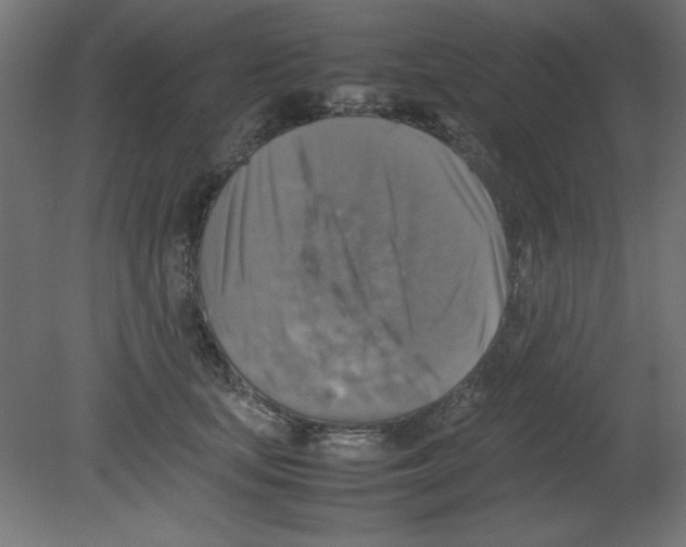 X0000080750659200701122004