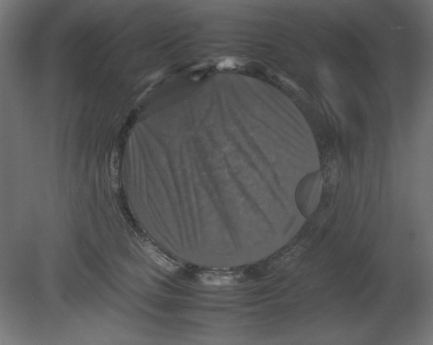 X0000080750661200701122004