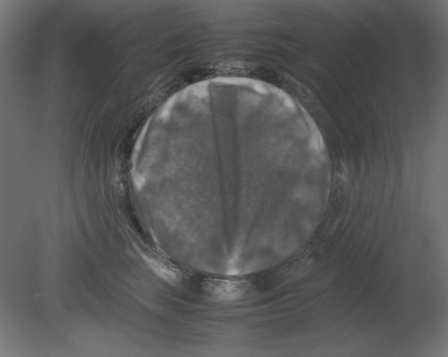 X0000080750663200701122004